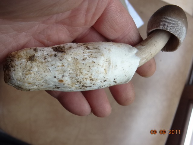 Novit� per .... me : QUIZZZZ